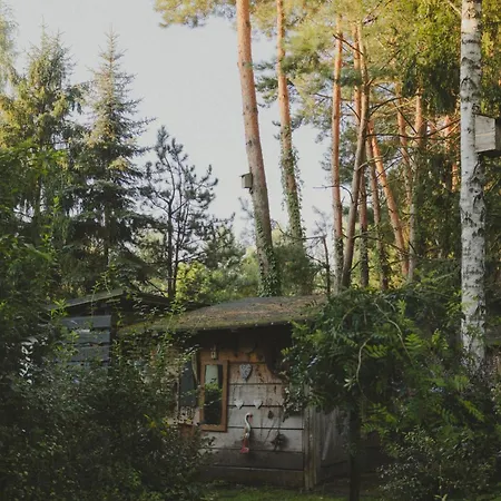 Przystanek Zielnik Villa Losie Exterior photo