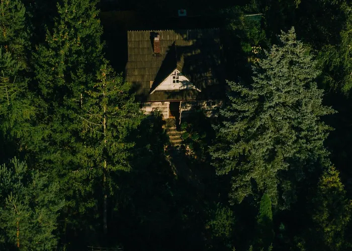 Przystanek Zielnik