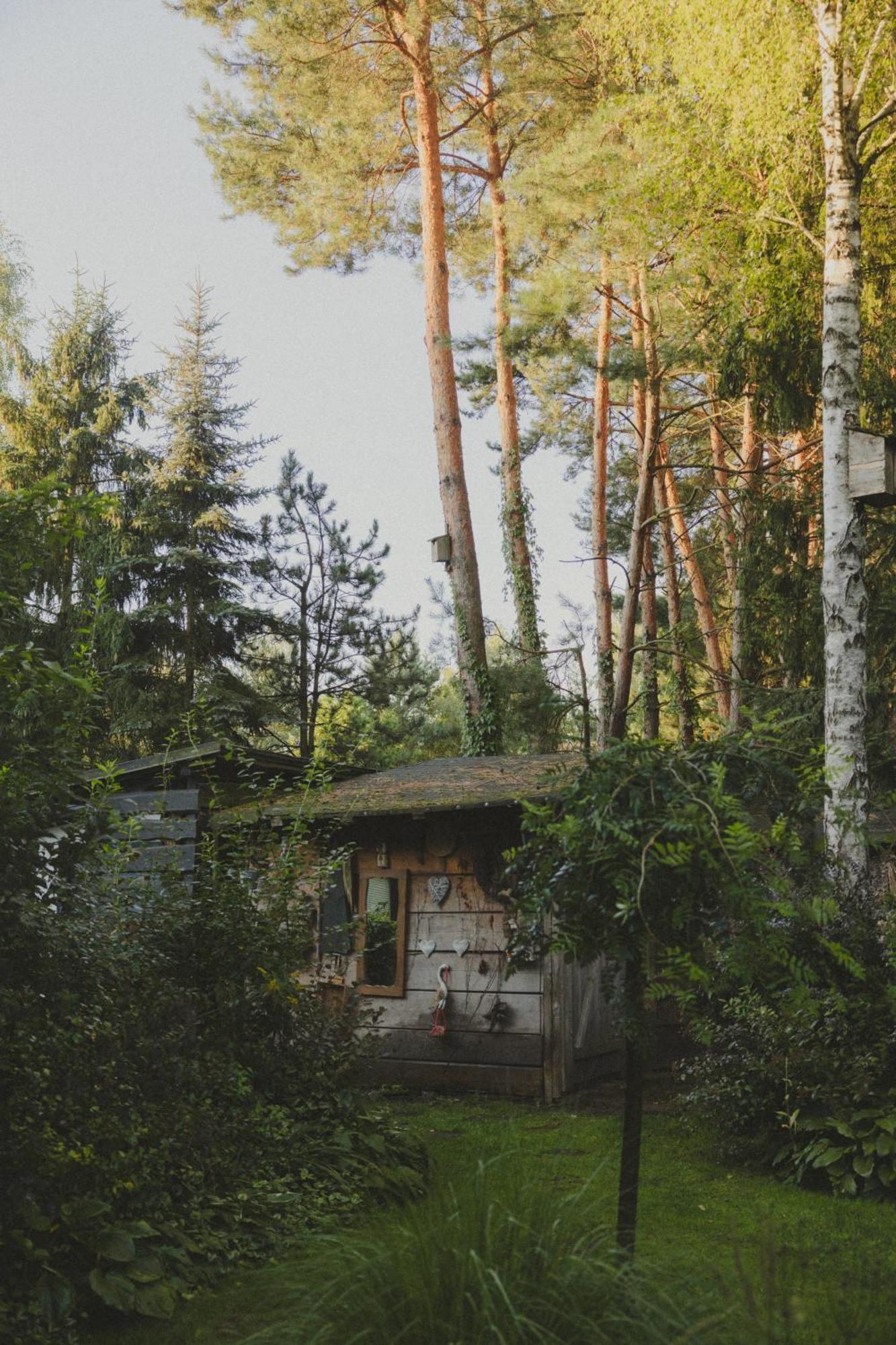 Holiday home Przystanek Zielnik